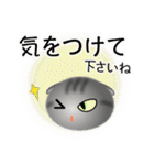 色々な猫7-2 短毛-垂れ耳-サバトラ（個別スタンプ：14）