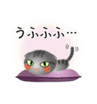 色々な猫7-2 短毛-垂れ耳-サバトラ（個別スタンプ：25）