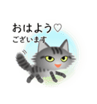 色々な猫7-3 長毛-立ち耳-サバトラ（個別スタンプ：1）