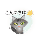 色々な猫7-3 長毛-立ち耳-サバトラ（個別スタンプ：5）