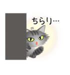 色々な猫7-3 長毛-立ち耳-サバトラ（個別スタンプ：6）