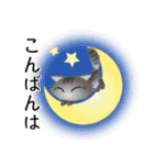 色々な猫7-3 長毛-立ち耳-サバトラ（個別スタンプ：7）
