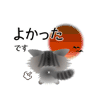 色々な猫7-3 長毛-立ち耳-サバトラ（個別スタンプ：11）
