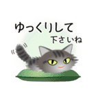 色々な猫7-3 長毛-立ち耳-サバトラ（個別スタンプ：12）