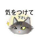 色々な猫7-3 長毛-立ち耳-サバトラ（個別スタンプ：14）