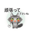 色々な猫7-3 長毛-立ち耳-サバトラ（個別スタンプ：16）