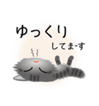 色々な猫7-3 長毛-立ち耳-サバトラ（個別スタンプ：18）