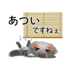 色々な猫7-3 長毛-立ち耳-サバトラ（個別スタンプ：21）