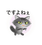 色々な猫7-3 長毛-立ち耳-サバトラ（個別スタンプ：23）