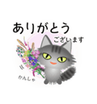 色々な猫7-3 長毛-立ち耳-サバトラ（個別スタンプ：31）