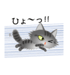 色々な猫7-3 長毛-立ち耳-サバトラ（個別スタンプ：34）