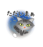 色々な猫7-3 長毛-立ち耳-サバトラ（個別スタンプ：38）