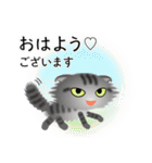 色々な猫7-4 長毛-垂れ耳-サバトラ（個別スタンプ：1）
