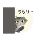 色々な猫7-4 長毛-垂れ耳-サバトラ（個別スタンプ：6）
