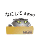 色々な猫7-4 長毛-垂れ耳-サバトラ（個別スタンプ：8）
