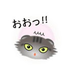 色々な猫7-4 長毛-垂れ耳-サバトラ（個別スタンプ：10）