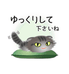 色々な猫7-4 長毛-垂れ耳-サバトラ（個別スタンプ：12）
