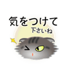 色々な猫7-4 長毛-垂れ耳-サバトラ（個別スタンプ：14）