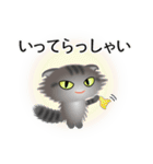 色々な猫7-4 長毛-垂れ耳-サバトラ（個別スタンプ：15）