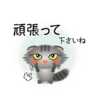 色々な猫7-4 長毛-垂れ耳-サバトラ（個別スタンプ：16）