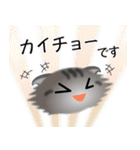 色々な猫7-4 長毛-垂れ耳-サバトラ（個別スタンプ：17）