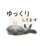 色々な猫7-4 長毛-垂れ耳-サバトラ（個別スタンプ：18）