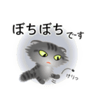 色々な猫7-4 長毛-垂れ耳-サバトラ（個別スタンプ：20）