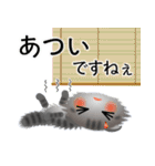 色々な猫7-4 長毛-垂れ耳-サバトラ（個別スタンプ：21）