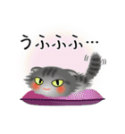 色々な猫7-4 長毛-垂れ耳-サバトラ（個別スタンプ：25）