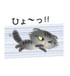 色々な猫7-4 長毛-垂れ耳-サバトラ（個別スタンプ：34）