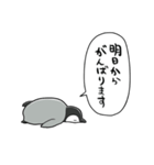 無気力コウテイペンギンベビー（個別スタンプ：40）