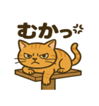 茶トラわらびちゃんと黒猫ここちゃん（個別スタンプ：23）
