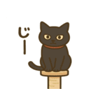 茶トラわらびちゃんと黒猫ここちゃん（個別スタンプ：24）