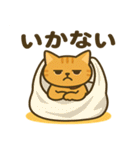 茶トラわらびちゃんと黒猫ここちゃん（個別スタンプ：25）