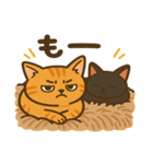 茶トラわらびちゃんと黒猫ここちゃん（個別スタンプ：37）