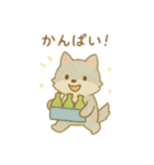 可愛い動物達のお買い物 日本語（個別スタンプ：5）