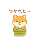 可愛い動物達のお買い物 日本語（個別スタンプ：8）