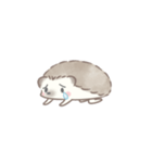 ネガティブでかわいいハリネズミ*文字なし（個別スタンプ：18）
