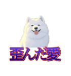 犬味 歪んだ愛（個別スタンプ：1）