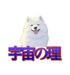 犬味 歪んだ愛（個別スタンプ：2）