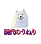 犬味 歪んだ愛（個別スタンプ：5）