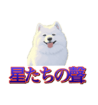 犬味 歪んだ愛（個別スタンプ：6）