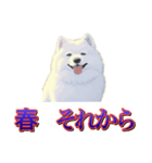 犬味 歪んだ愛（個別スタンプ：10）