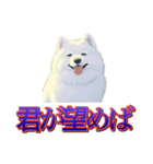 犬味 歪んだ愛（個別スタンプ：11）
