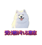 犬味 歪んだ愛（個別スタンプ：12）