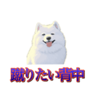 犬味 歪んだ愛（個別スタンプ：13）