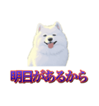 犬味 歪んだ愛（個別スタンプ：19）