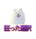 犬味 歪んだ愛（個別スタンプ：20）