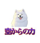犬味 歪んだ愛（個別スタンプ：21）