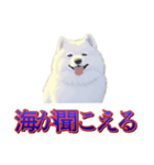 犬味 歪んだ愛（個別スタンプ：22）